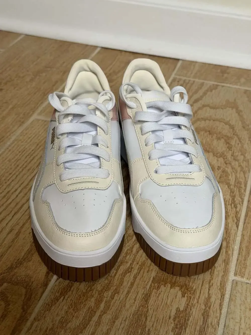 Puma carina street